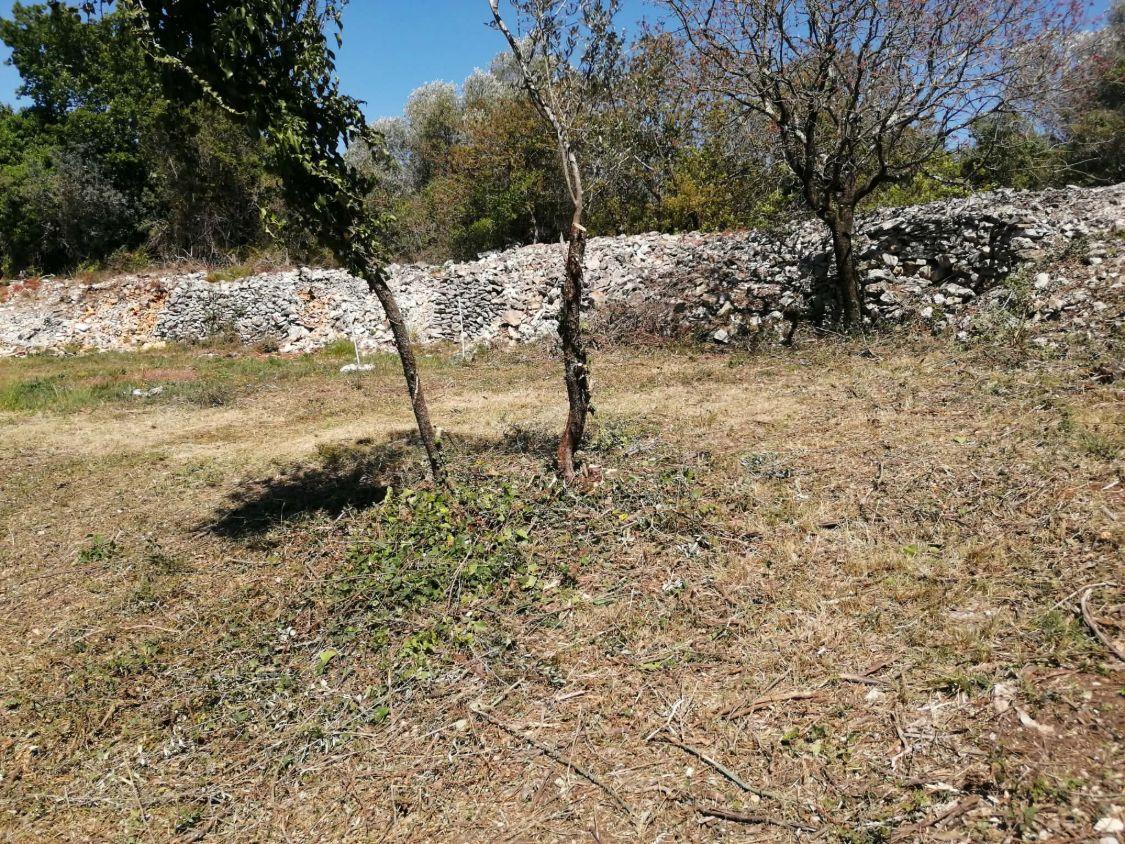 Parcela uz kamene zidove