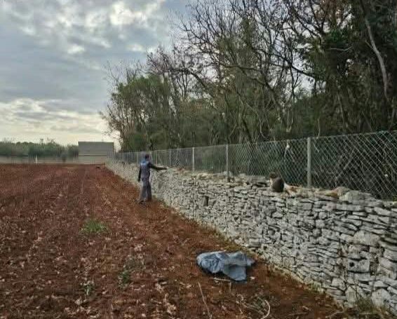 Ograda na suhozidu